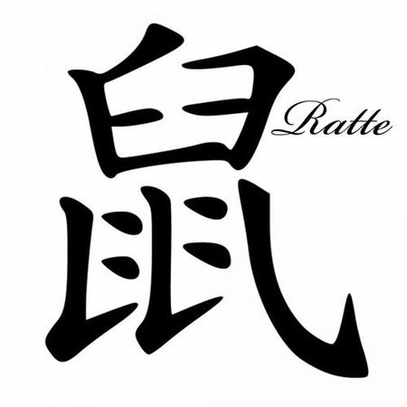 塞字代表什么生肖(塞字是什么生肖)