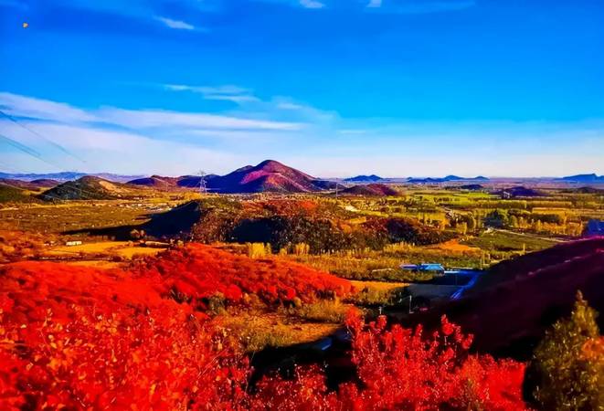 山莊紅彩圖片價格(山莊老酒紅彩價格)