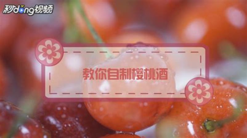 楊梅酒如何喝,大齡剩女如何找對(duì)象