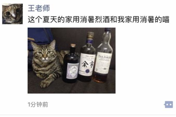 葡萄酒該怎么喝,72度葡萄酒怎么喝