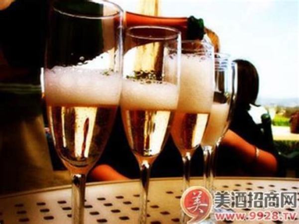 起泡葡萄酒打開后如何保存,開啟后的葡萄酒怎么儲存