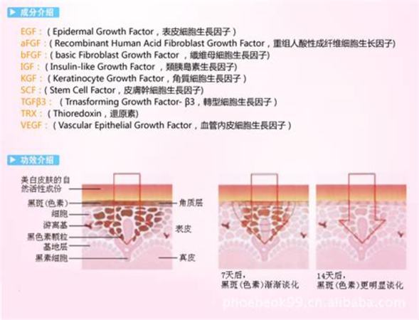 蘋(píng)果酒怎么做市場(chǎng),酸甜可口蘋(píng)果酒