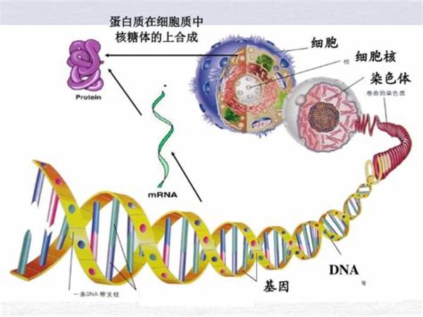 如何運輸葡萄,解密大澤山葡萄