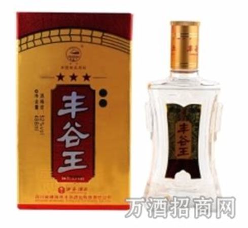 給綿陽豐谷酒王獻(xiàn)言一策,關(guān)鍵詞