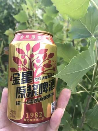 什么牌子的原漿啤酒好(什么品牌原漿啤酒好)