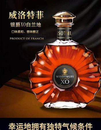 酒吧里都有什么啤酒,啤酒有65大類(lèi)