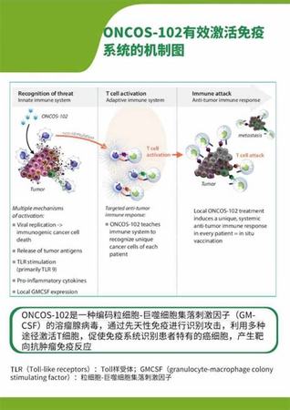 張華酒是什么酒,張恩華是因喝酒去世的嗎