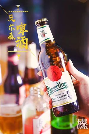 什么是皮爾森啤酒(皮爾森啤酒是指什么)