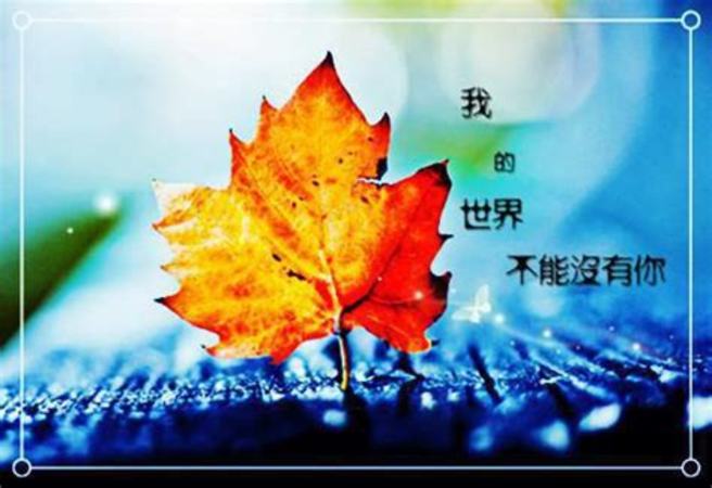 紅酒哪個(gè)國(guó)家好,哪個(gè)國(guó)家的紅葡萄酒最好