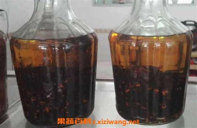 捉什么蜂泡酒,有的人用捉來的馬蜂泡酒